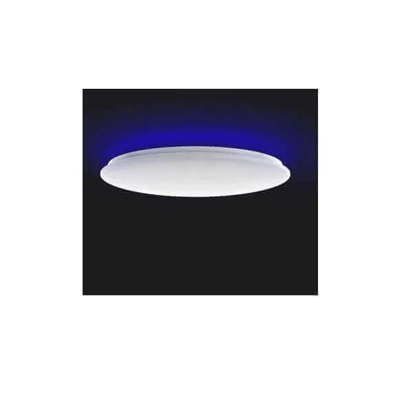 Yeelight Arwen Ceiling Light